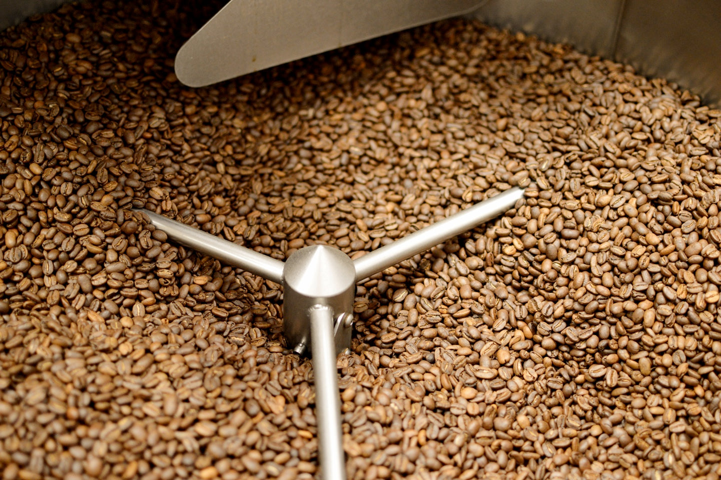 The Benefits of Organic Coffee: From Health to Sustainability